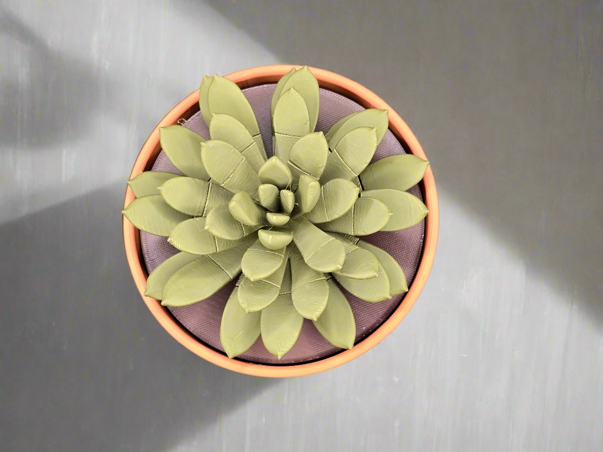 Succulent Push Pin plant