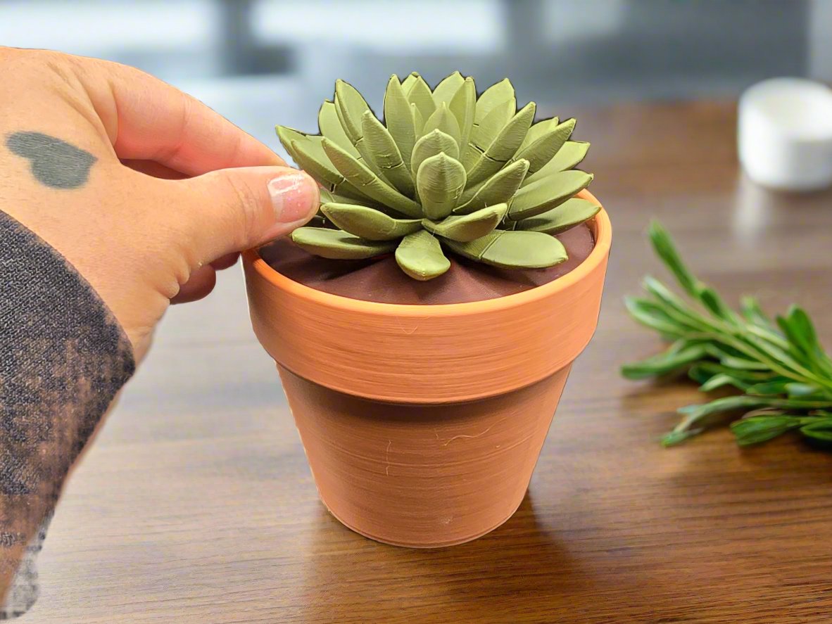 Succulent Push Pin plant