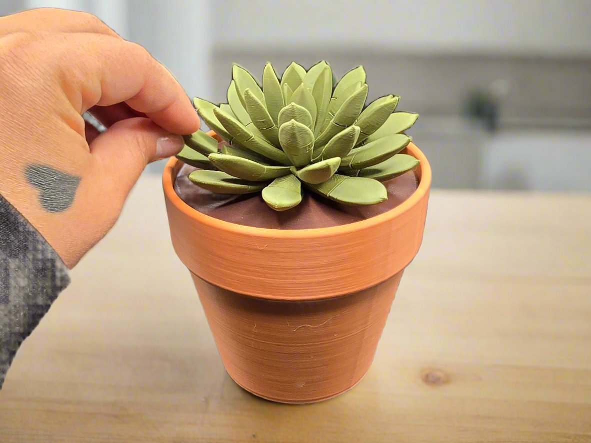 Succulent Push Pin plant