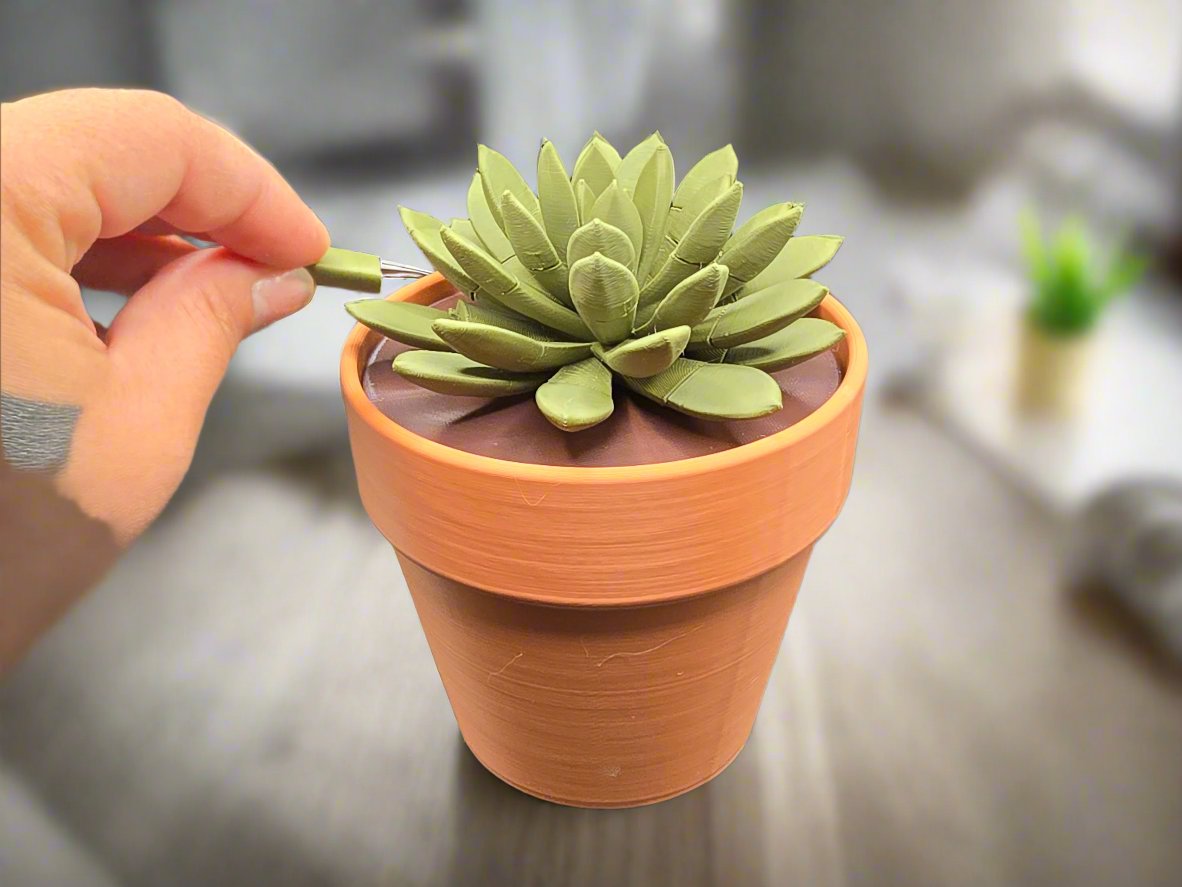 Succulent Push Pin plant