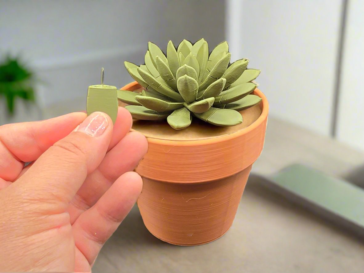 Succulent Push Pin plant