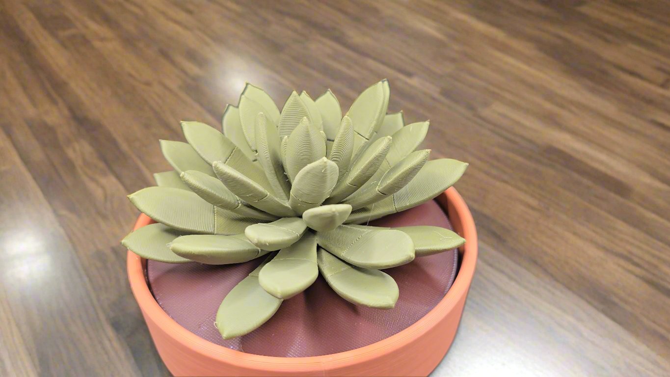 Succulent Push Pin plant